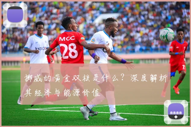 挪威的黄金双核是什么？深度解析其经济与能源价值